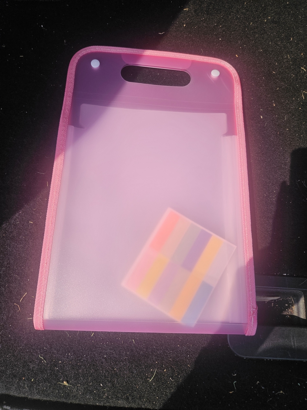 Pink Accordian File Case - Unbranded